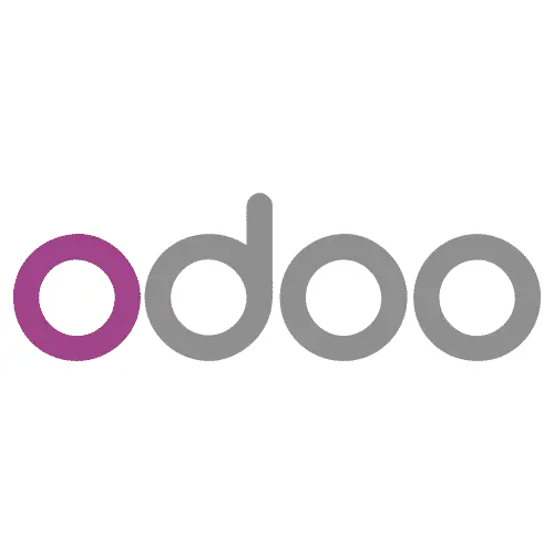 Odoo 19 CE + Theme
